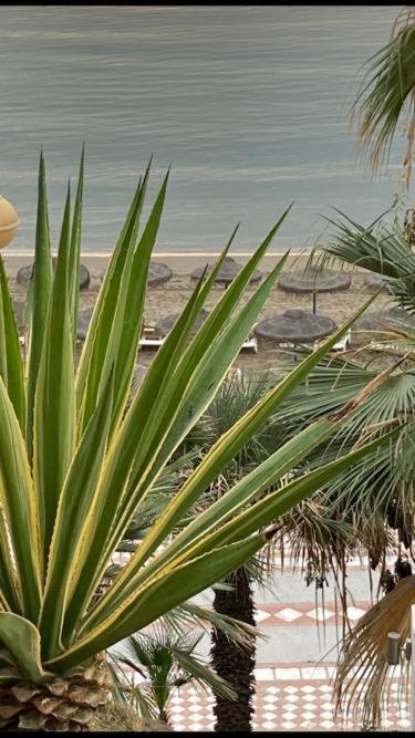 Vista Marina Daire Benalmádena Dış mekan fotoğraf